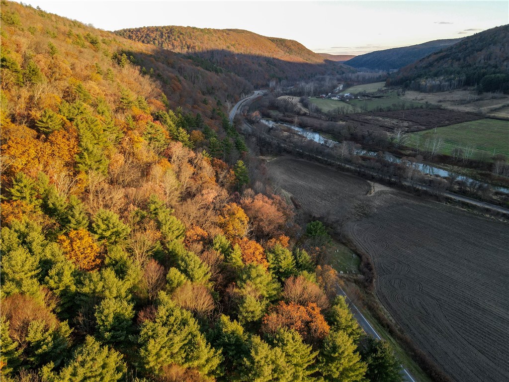 Vl Lot 2 Hathaway Hill Road Cameron, NY 14819 - Photo 14 of 23