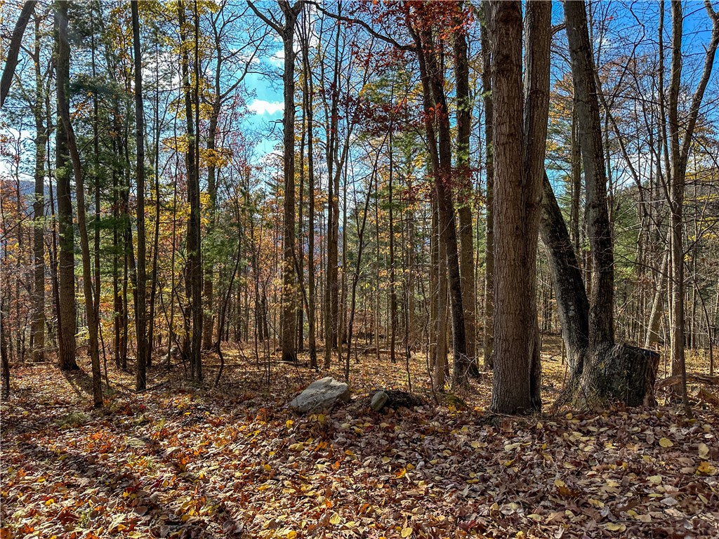 Vl Lot 2 Hathaway Hill Road Cameron, NY 14819 - Photo 15 of 23
