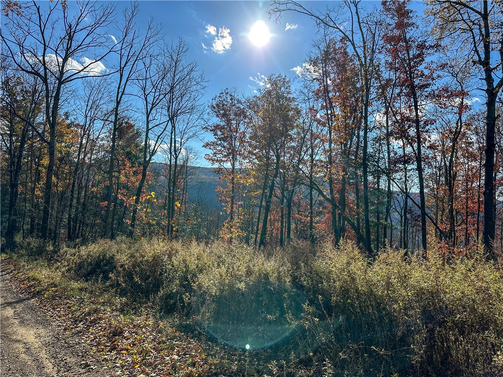 Vl Lot 2 Hathaway Hill Road Cameron, NY 14819 - Photo 16 of 23