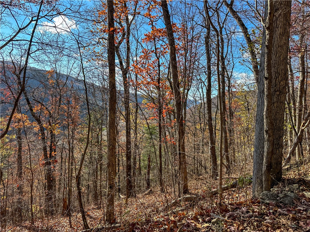 Vl Lot 2 Hathaway Hill Road Cameron, NY 14819 - Photo 17 of 23