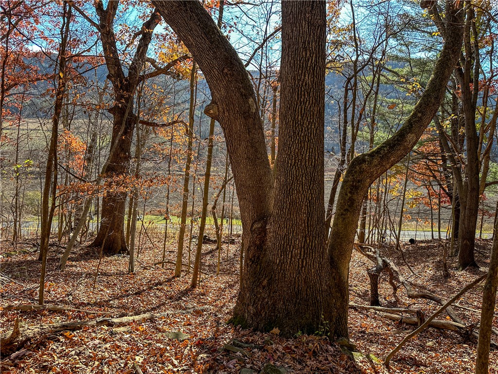 Vl Lot 2 Hathaway Hill Road Cameron, NY 14819 - Photo 3 of 23