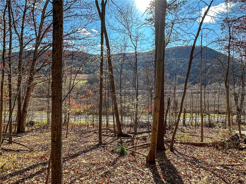 Vl Lot 2 Hathaway Hill Road Cameron, NY 14819 - Photo 4 of 23