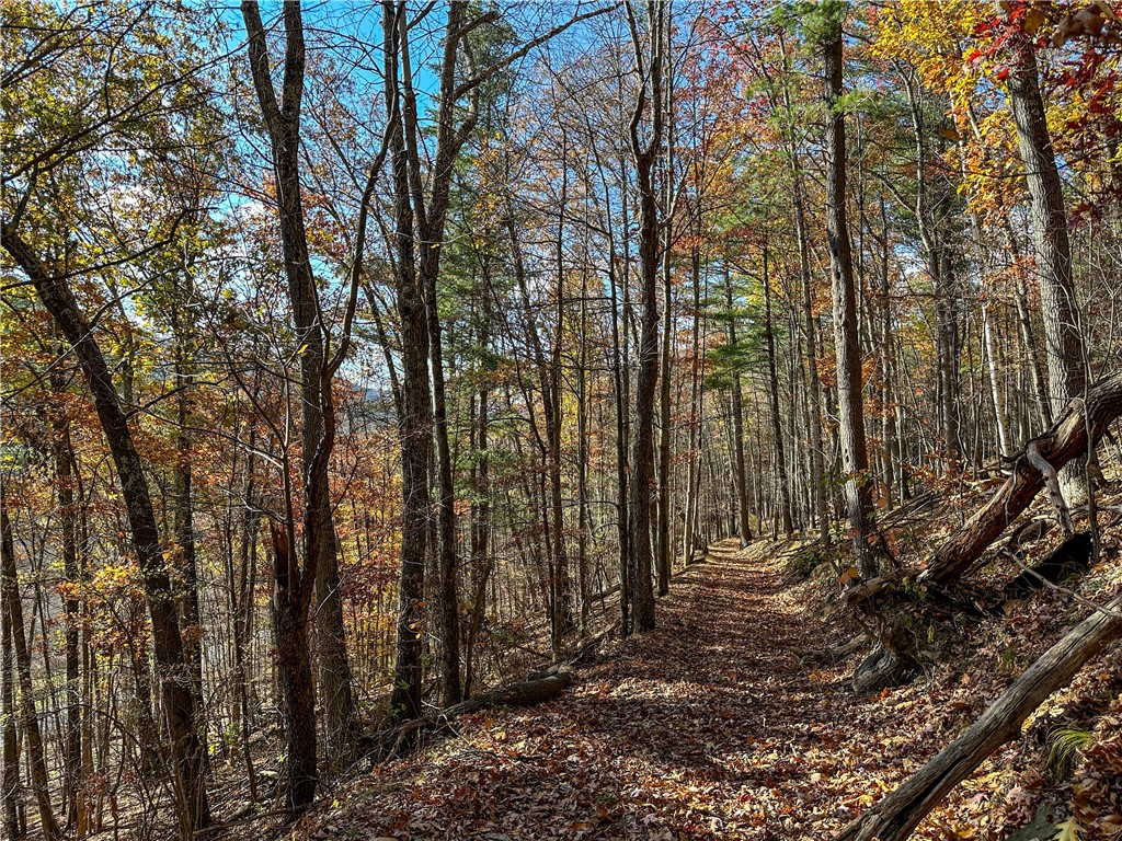 Vl Lot 2 Hathaway Hill Road Cameron, NY 14819 - Photo 5 of 23