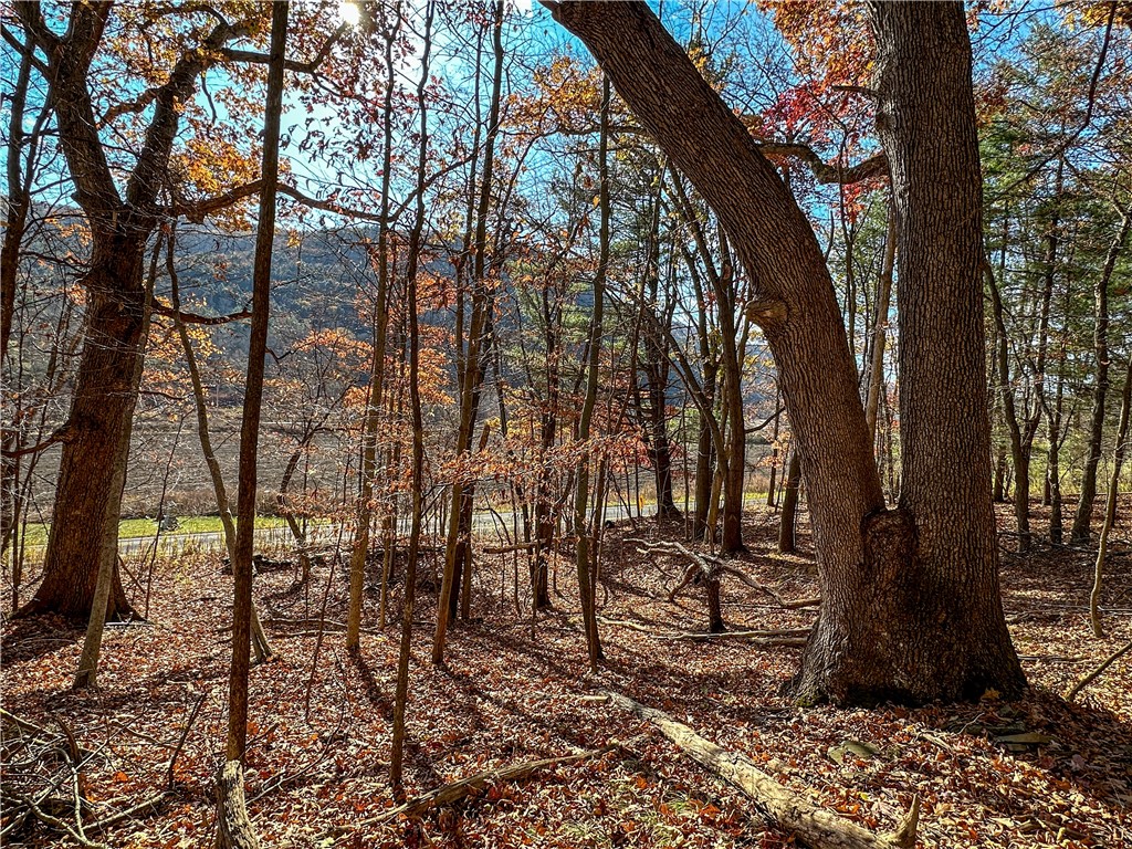 Vl Lot 2 Hathaway Hill Road Cameron, NY 14819 - Photo 6 of 23