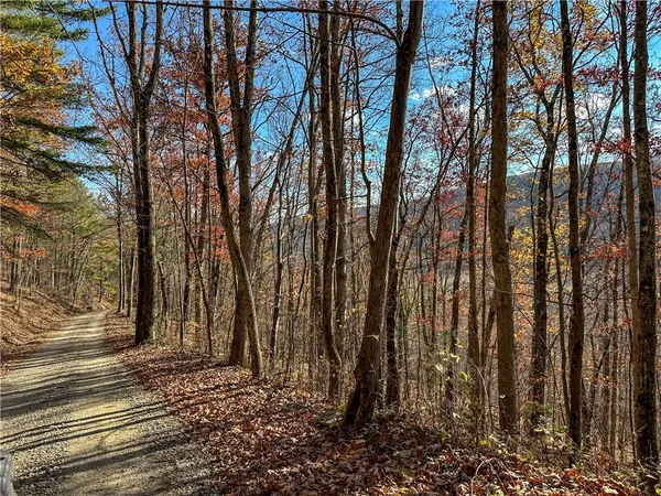 $129,900 | Vl Lot 2 Hathaway Hill Road, Cameron, NY 14819