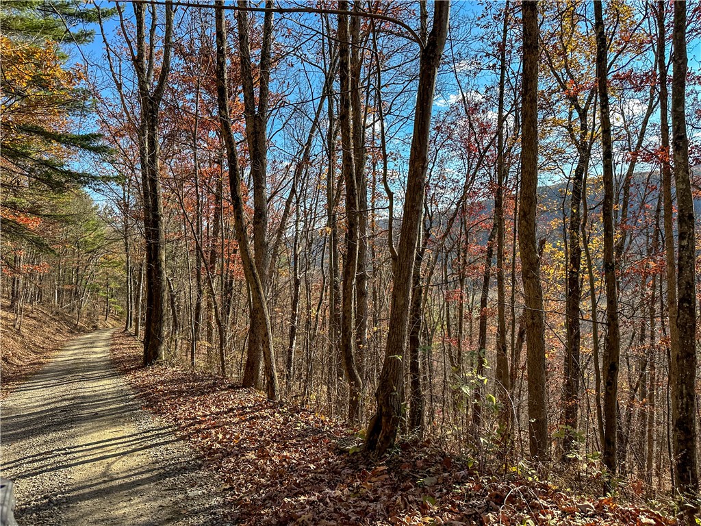 Vl Lot 2 Hathaway Hill Road Cameron, NY 14819 - Photo 8 of 23