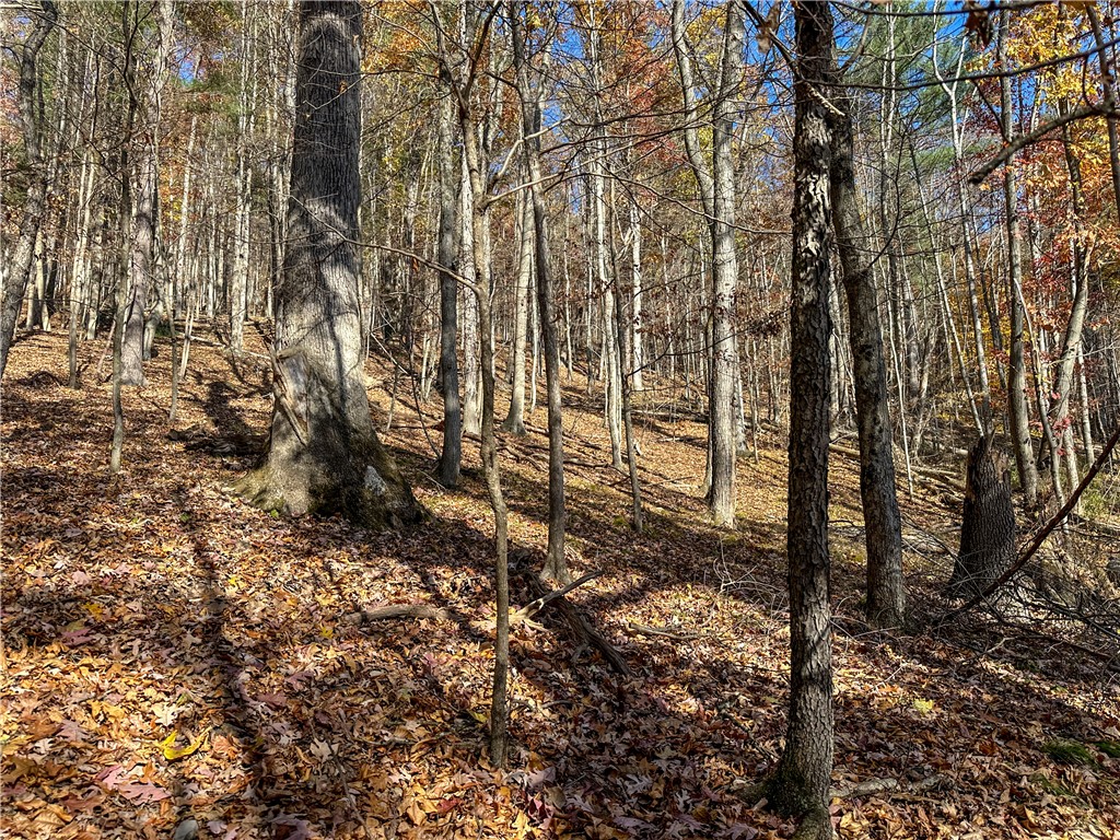 Vl Lot 2 Hathaway Hill Road Cameron, NY 14819 - Photo 9 of 23