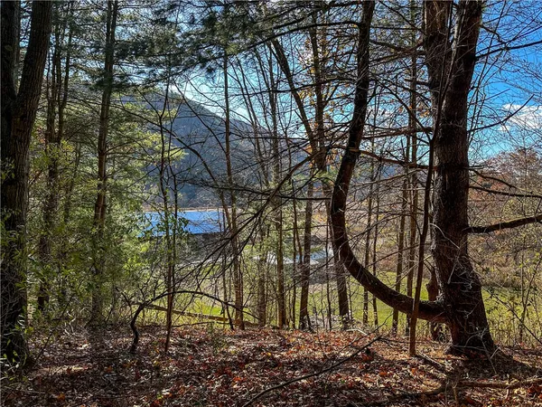 $129,900 | Vl Lot 2 Hathaway Hill Road, Cameron, NY 14819