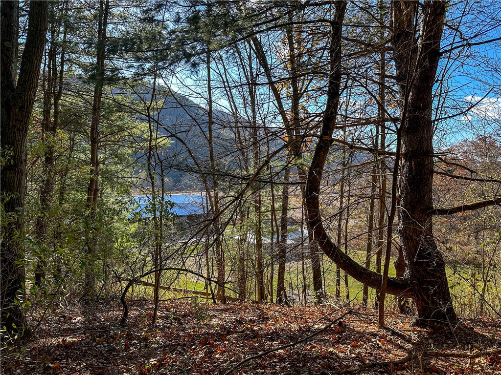 Vl Lot 2 Hathaway Hill Road Cameron, NY 14819 - Photo 10 of 23