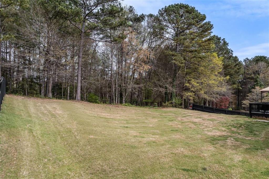 1148 Maple Creek Ridge Loganville, GA 30052 - Photo 46 of 46 a view of a yard with a trees