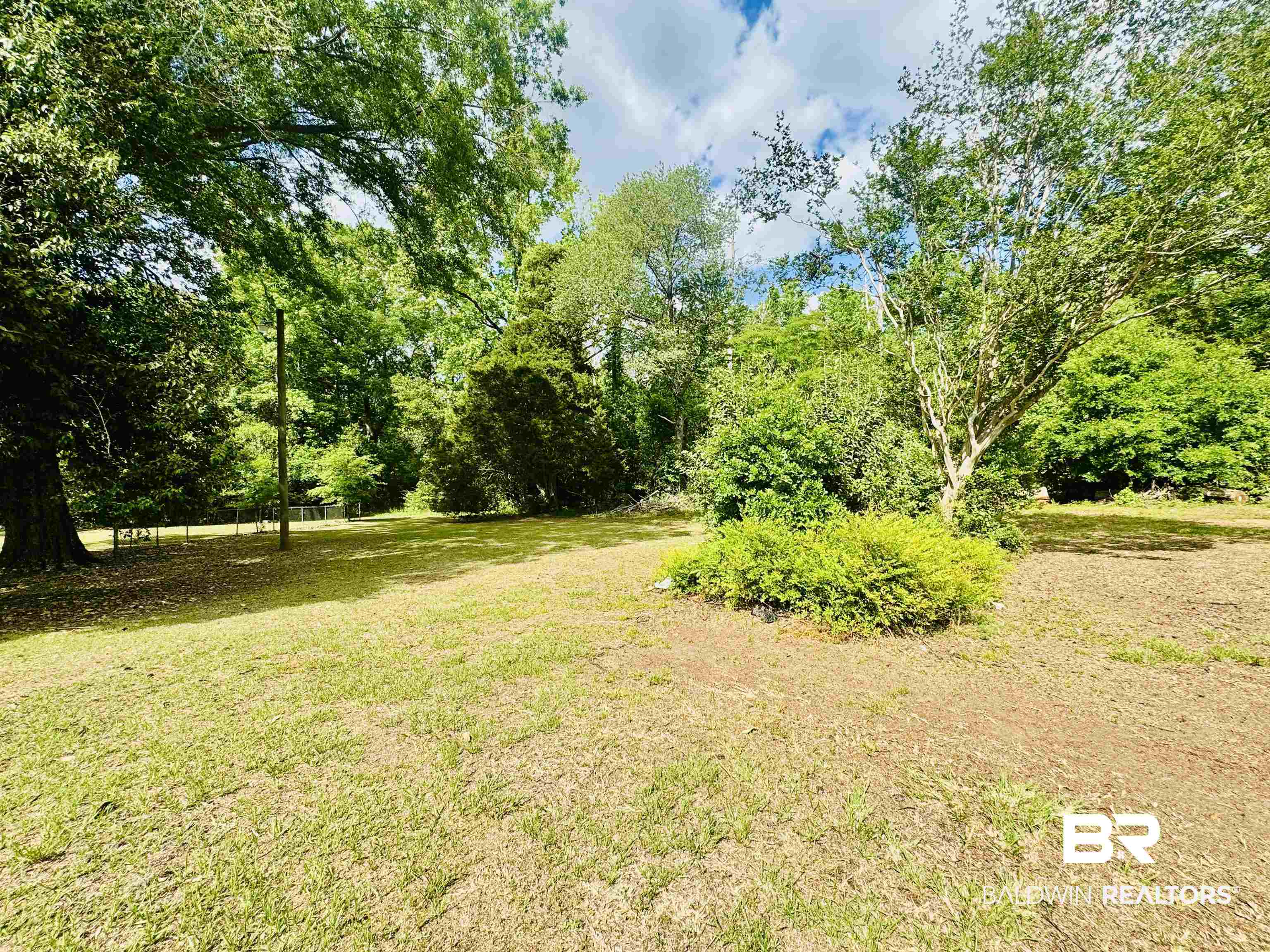 226 Elizabeth Street Evergreen, AL 36401 - Photo 5 of 35 Expansive lawn area featuring mature trees and established shrubbery, surrounded by natural foliage