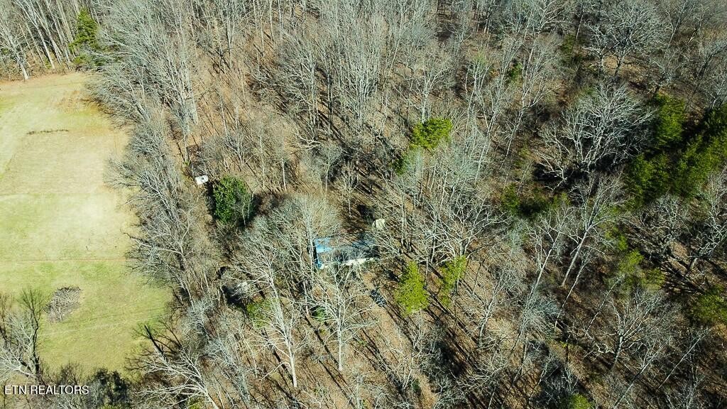 351 Blacks Ferry Road Knoxville, TN 37931 - Photo 5 of 29 Gallery Image 5
