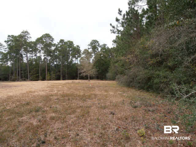 29409 Archie Road Elberta, AL 36530 - Photo 12 of 20 Wooded East boundary