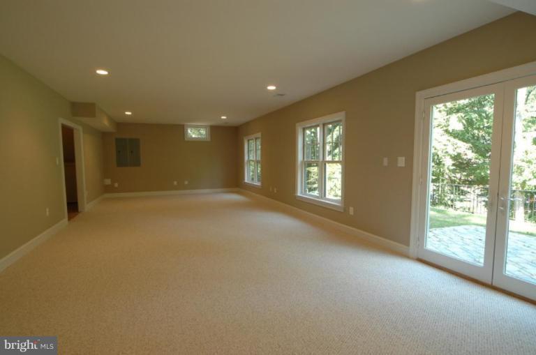 10203 Browns Mill Road Vienna, VA 22182 - Photo 23 of 30 Basement #1