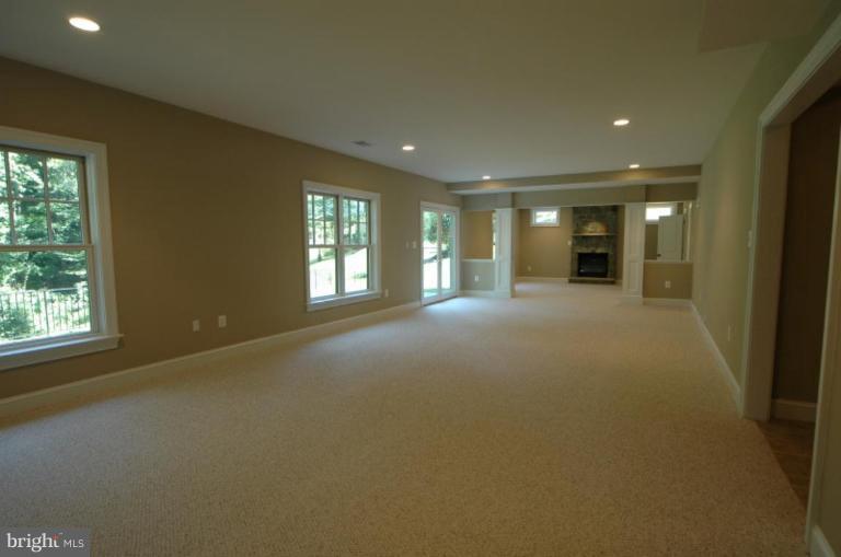 10203 Browns Mill Road Vienna, VA 22182 - Photo 28 of 30 Basement #2