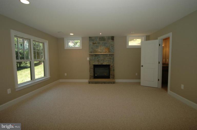 10203 Browns Mill Road Vienna, VA 22182 - Photo 29 of 30 Basement #3
