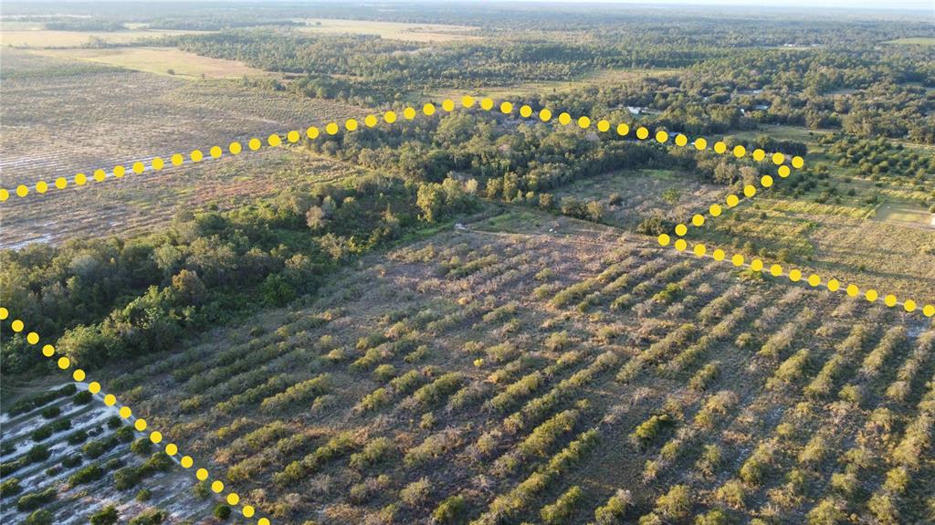 1895 Otto Polk Road Frostproof, FL 33843 - Photo 2 of 11