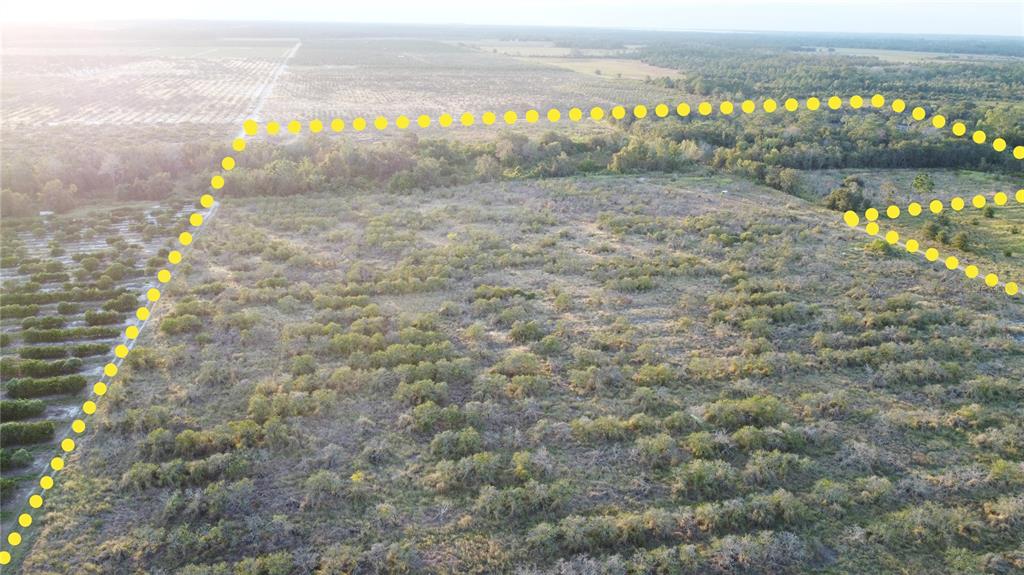 1895 Otto Polk Road Frostproof, FL 33843 - Photo 4 of 11