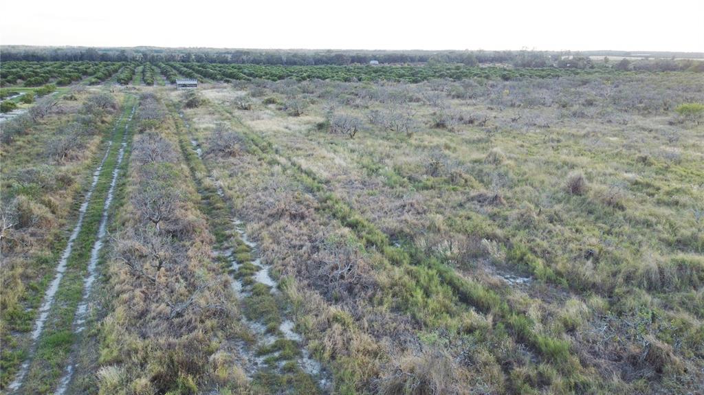 1895 Otto Polk Road Frostproof, FL 33843 - Photo 5 of 11