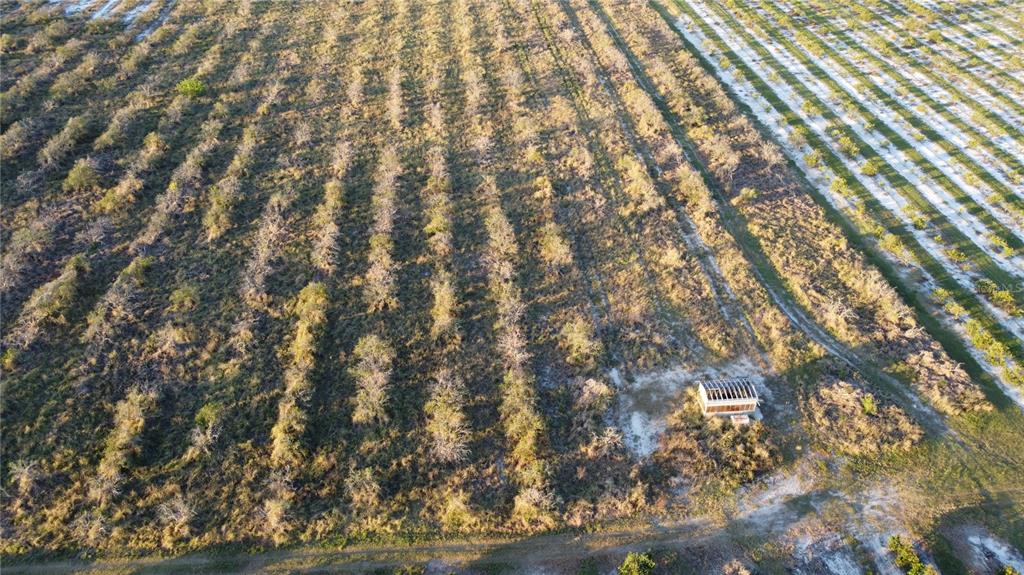 1895 Otto Polk Road Frostproof, FL 33843 - Photo 6 of 11