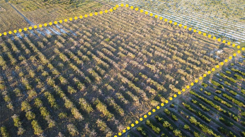 1895 Otto Polk Road Frostproof, FL 33843 - Photo 7 of 11