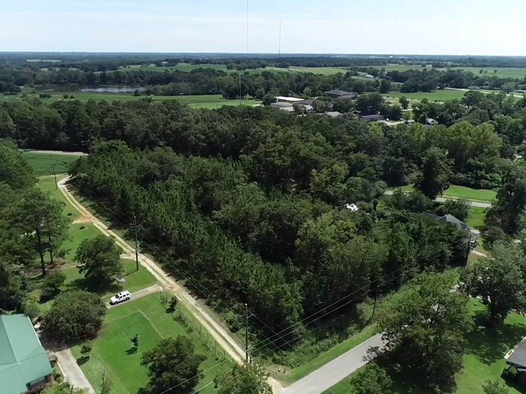 2.59 Cypress Rd/dexter Rd/ Worrell Street Eufaula, AL 36027 - Photo 4 of 9