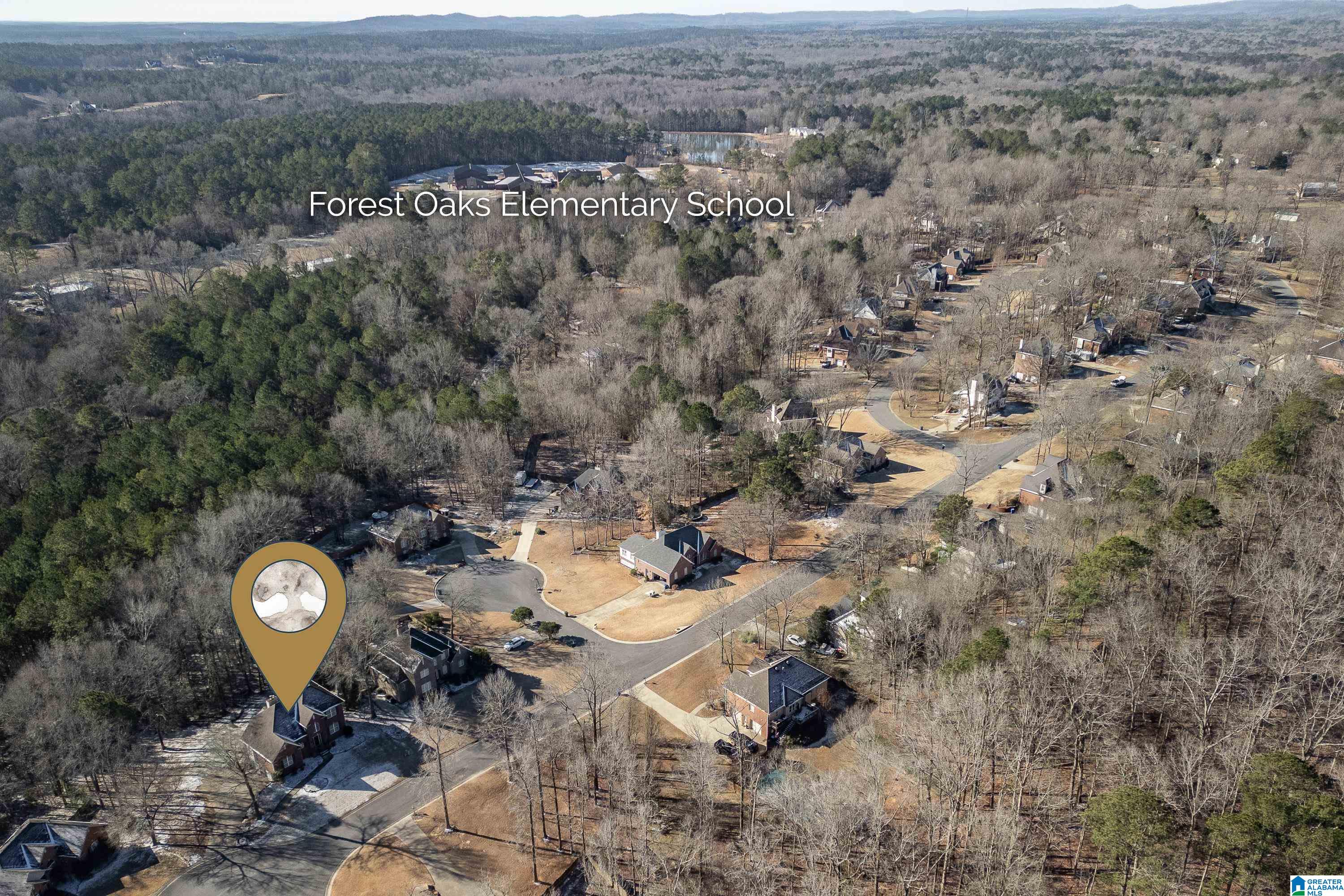 208 Branch Drive Chelsea, AL 35043 - Photo 43 of 46
