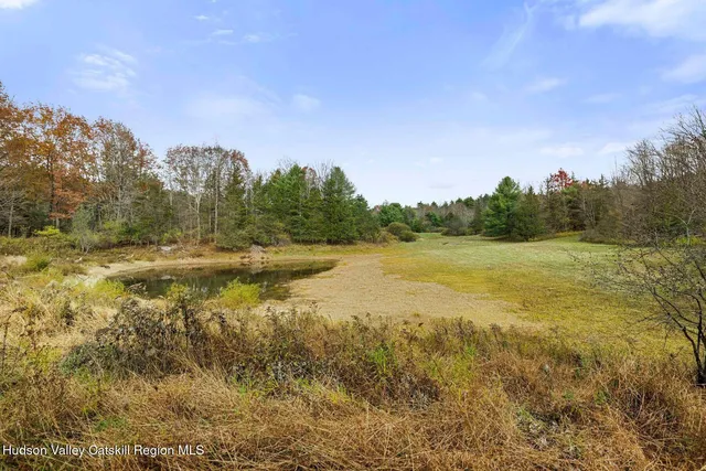 $990,000 | 2021-2071 Potic Mountain Road, Coxsackie, NY 12058