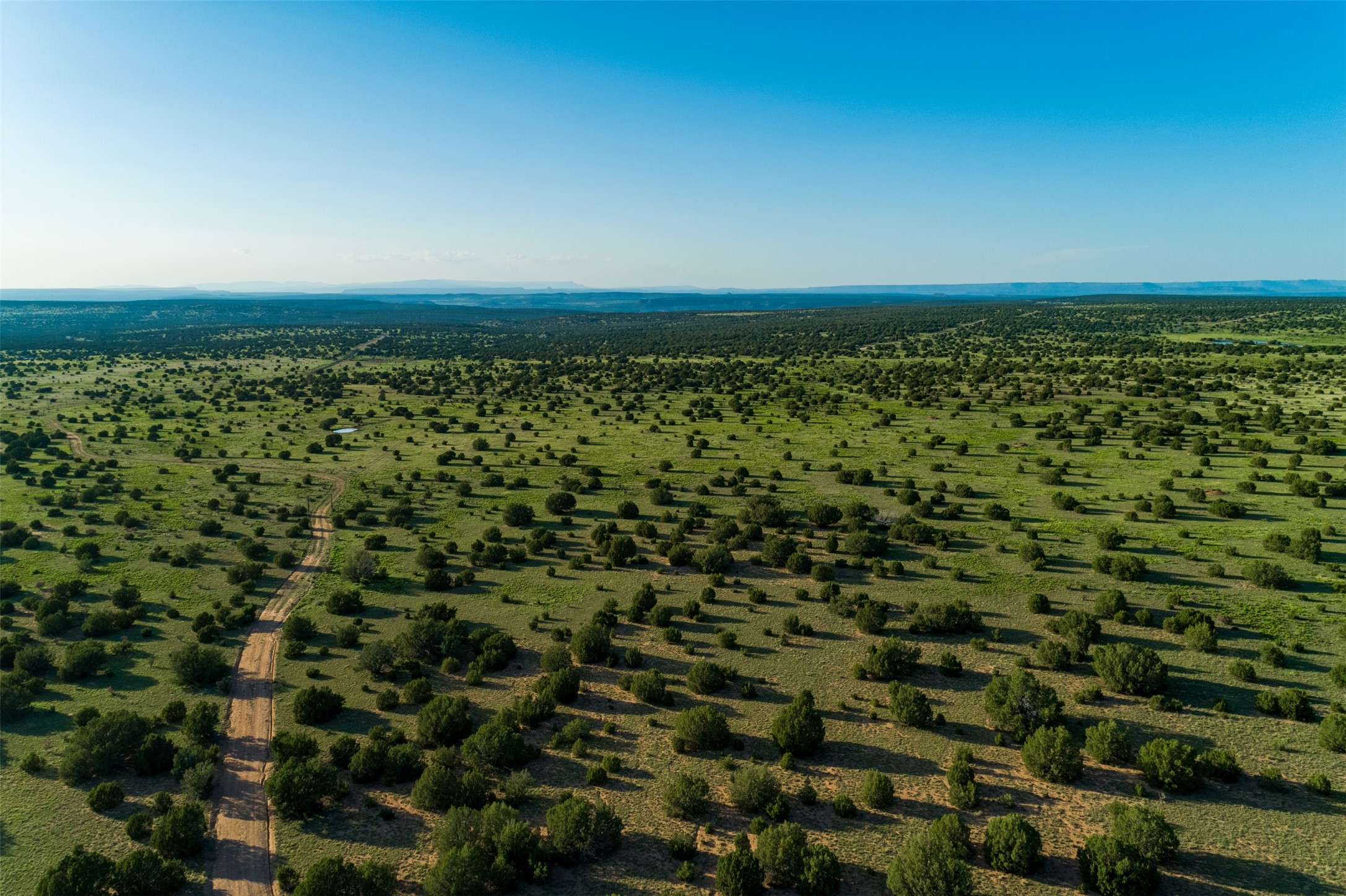 4221 Palo Amarillo Road Santa Rosa, NM 88435 - Photo 55 of 78