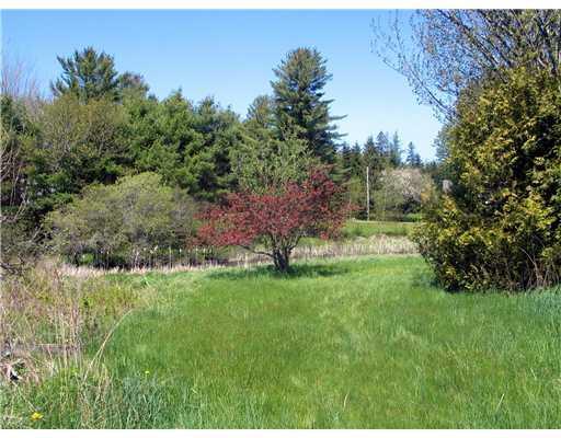 822 West Bay Road Gouldsboro, ME 04607 - Photo 6 of 19 Yard/Garden. Beautiful acreage