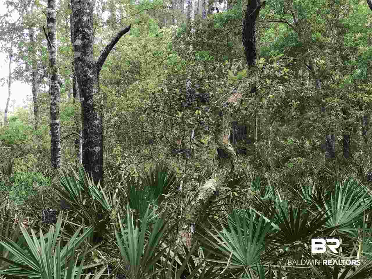 0 Boynton Road Elberta, AL 36530 - Photo 7 of 29 Gallery Image 7