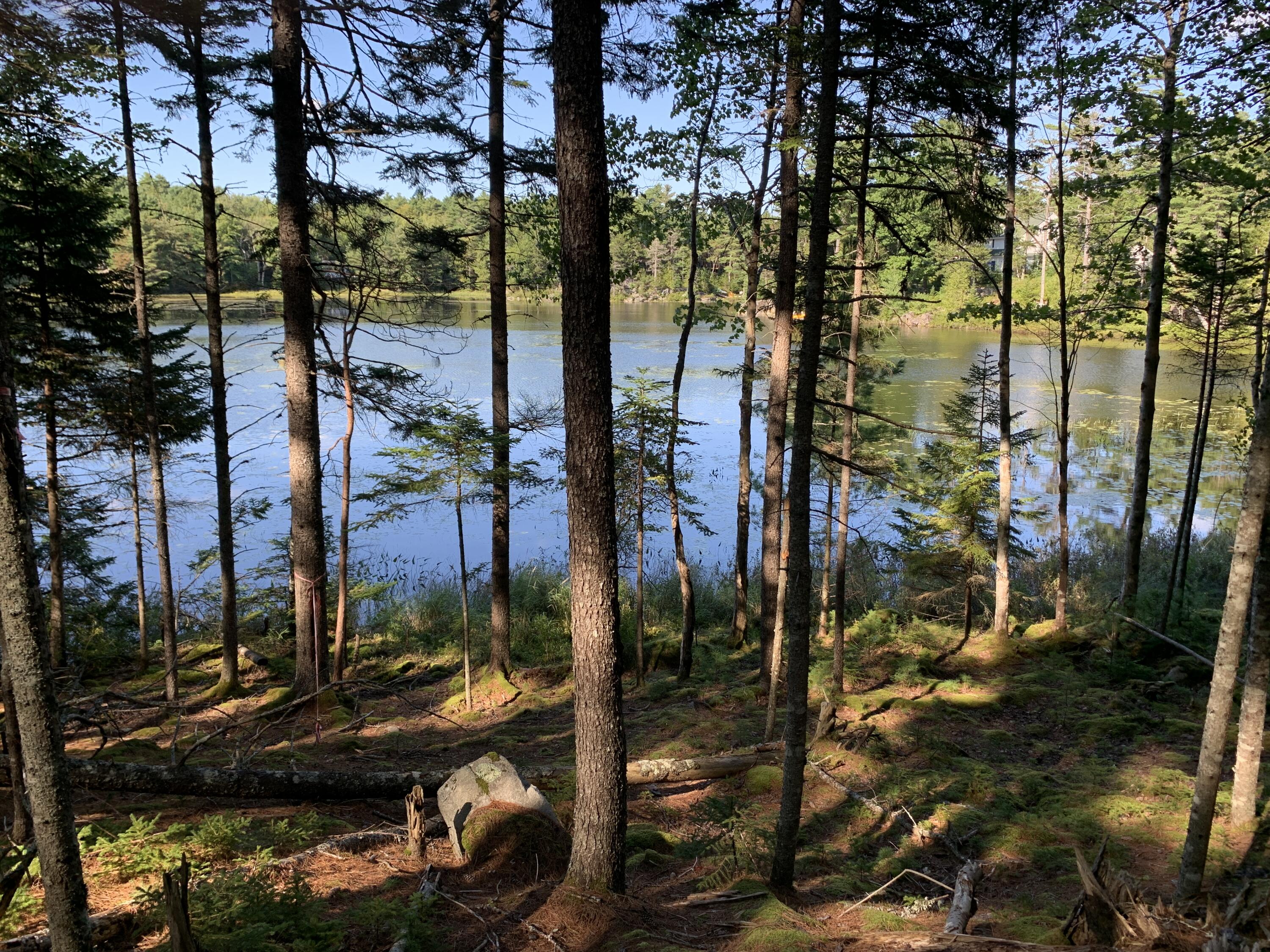 Lot A Lakeside Road Mount Desert, ME 04660 - Photo 2 of 29 IMG_6317