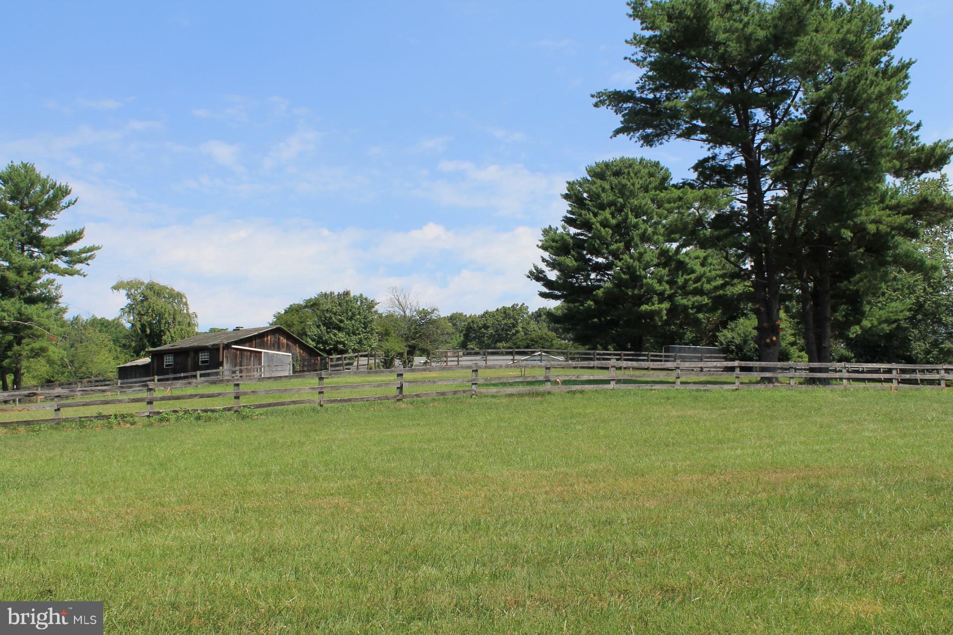 Partial View of Upper Rear Yard