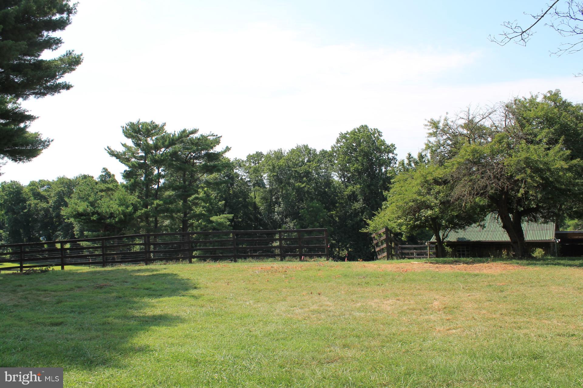 View of Initial Rear Yard