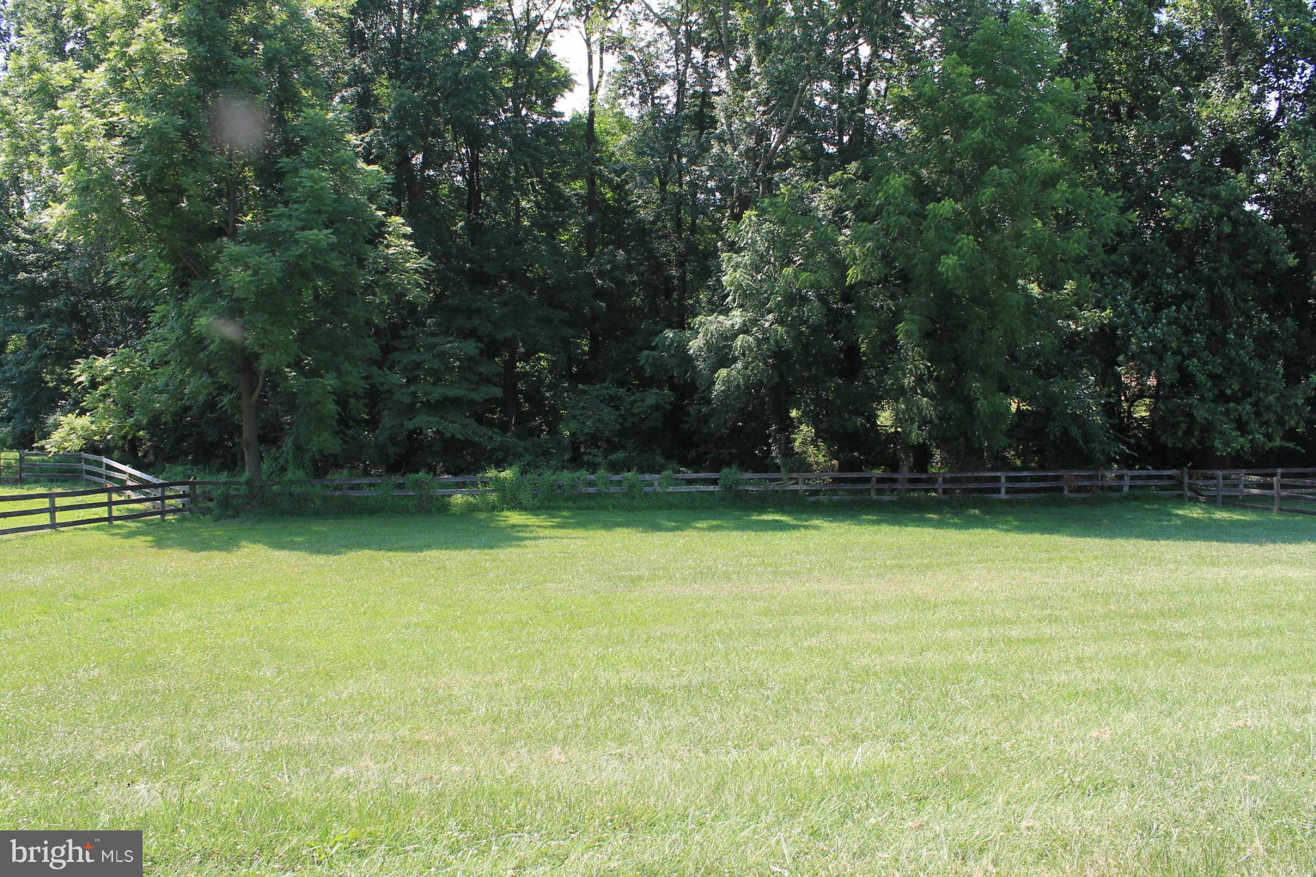 10419 Wickens Road Vienna, VA 22181 - Photo 9 of 12 View Towards Back of Lot
