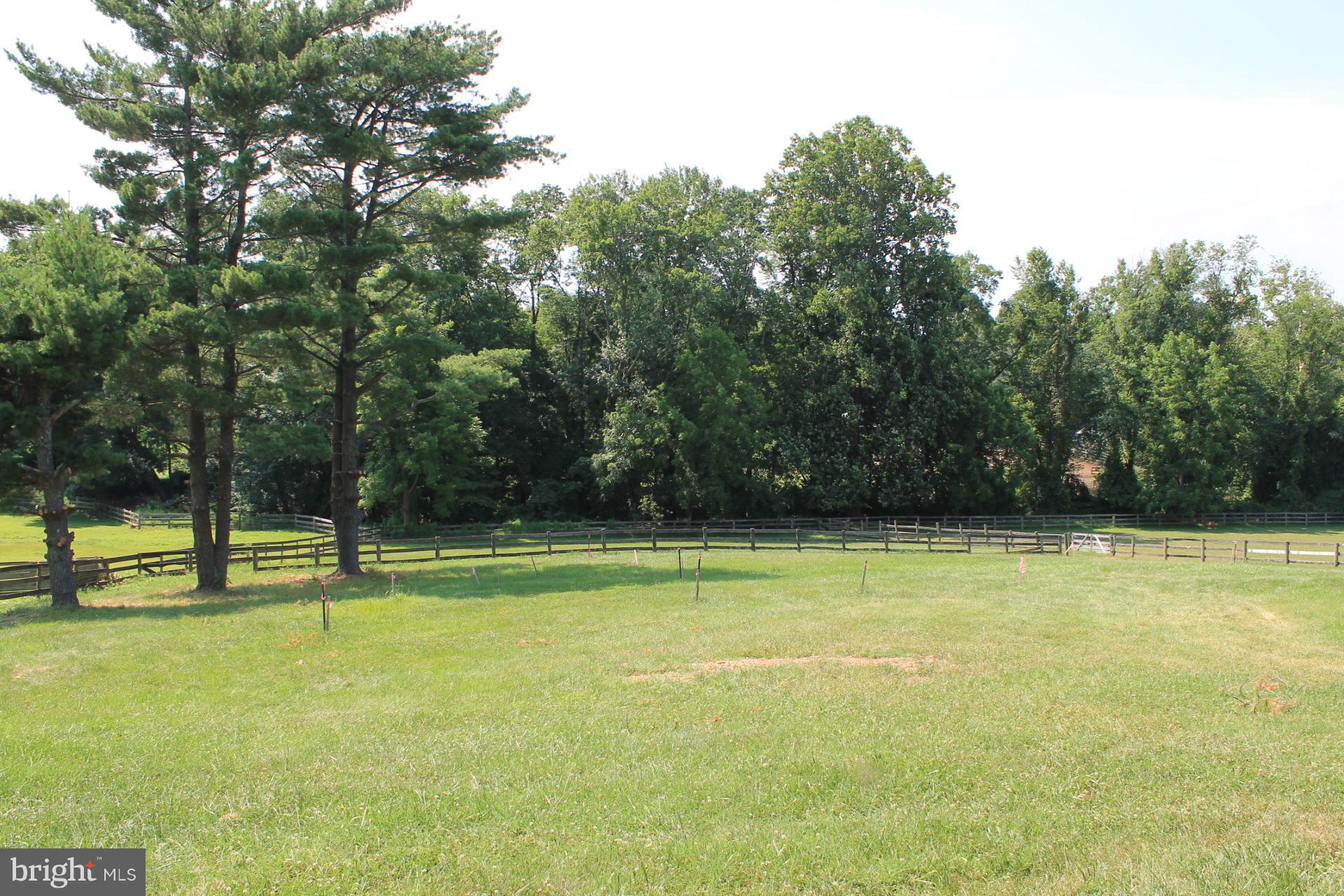 10419 Wickens Road Vienna, VA 22181 - Photo 10 of 12 View Towards Back of Lot