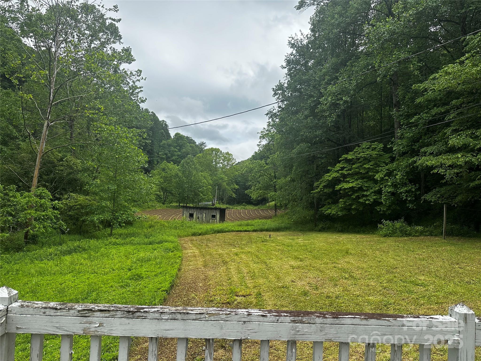 731 Pigeon Roost Road Green Mountain, NC 28740 - Photo 20 of 31 a view of a field with a small yard