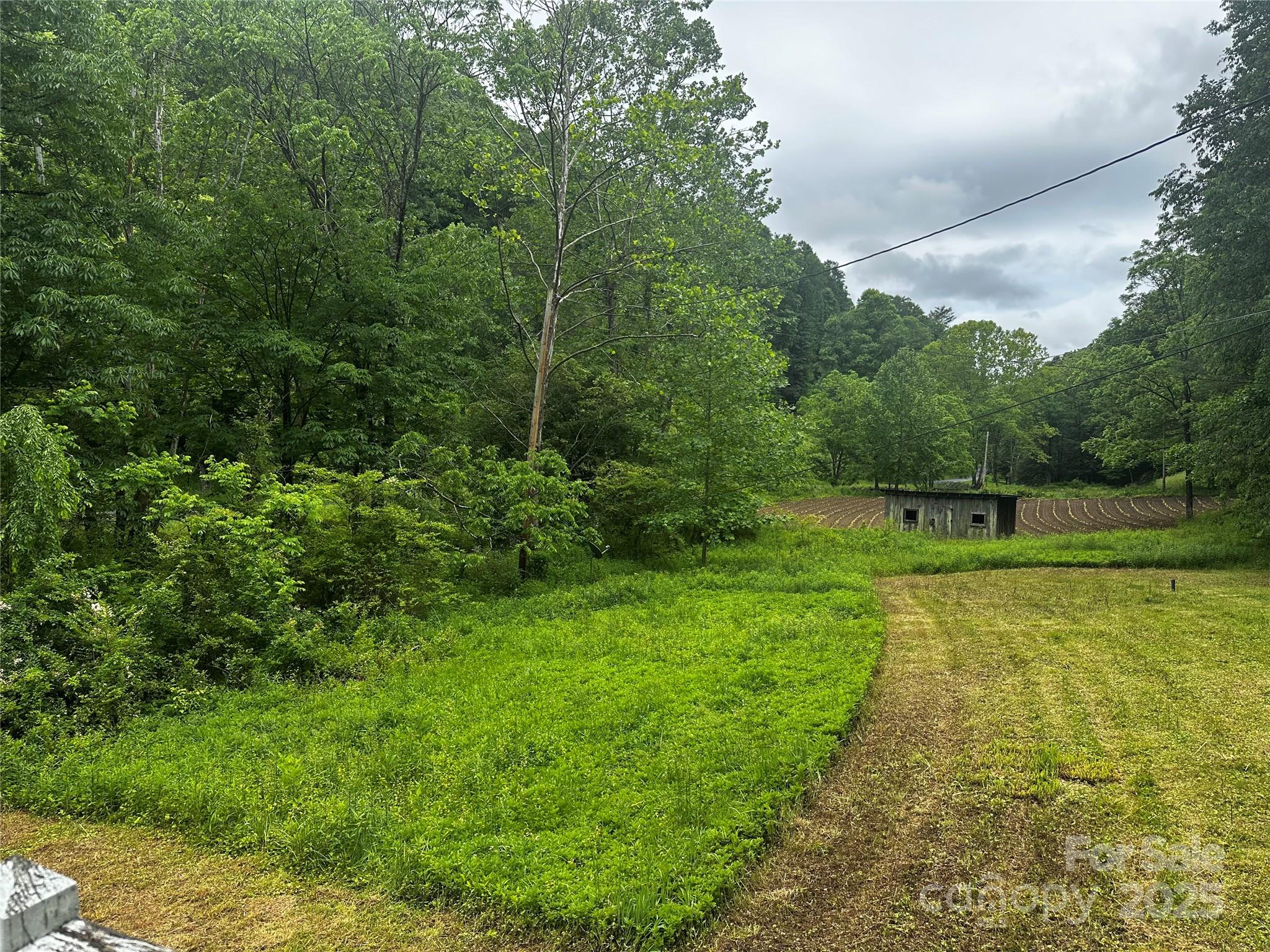 731 Pigeon Roost Road Green Mountain, NC 28740 - Photo 2 of 31 a view of a green field with lots of bushes