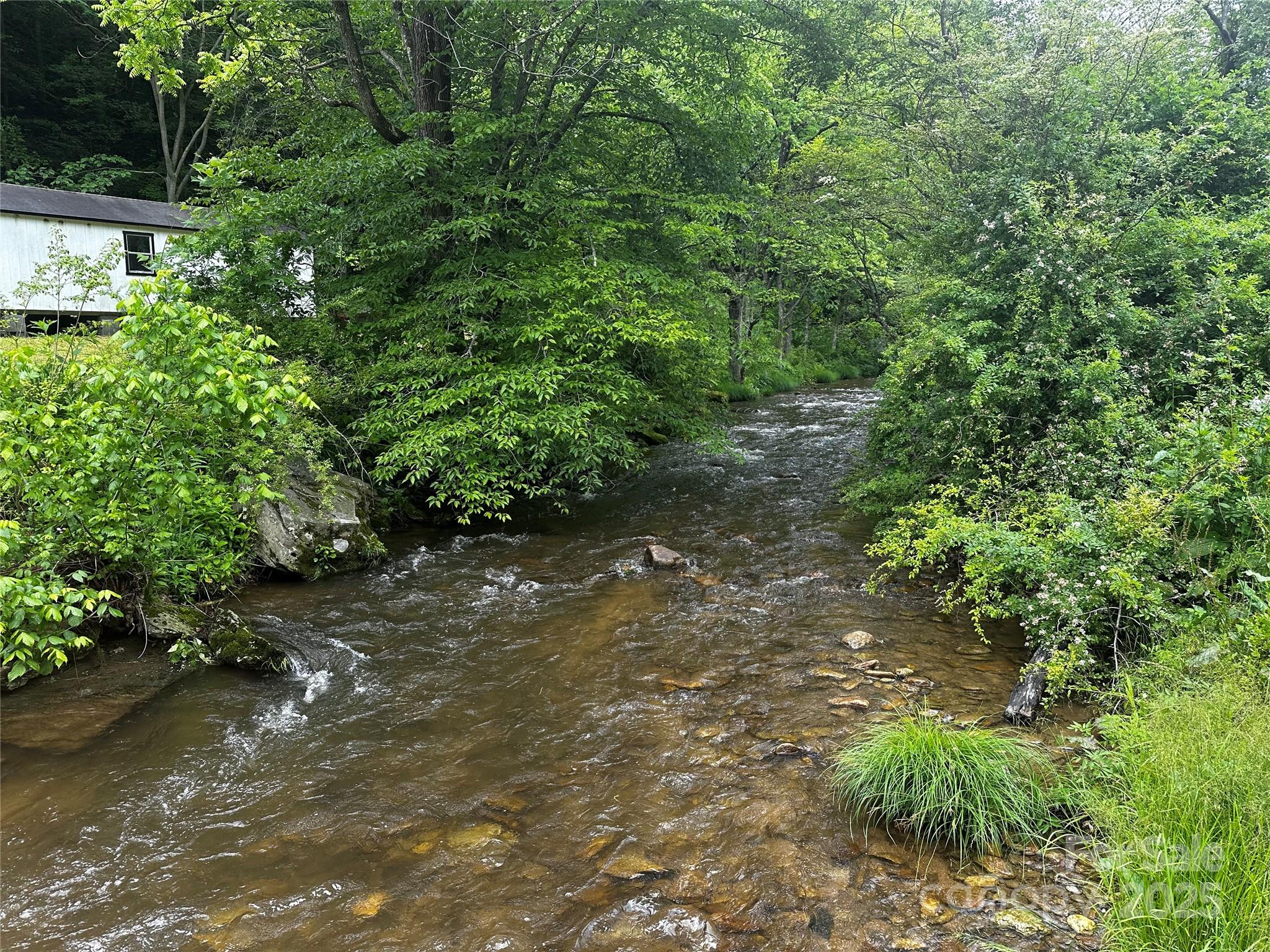 731 Pigeon Roost Road Green Mountain, NC 28740 - Photo 22 of 31 a view of a lake with plants and large trees