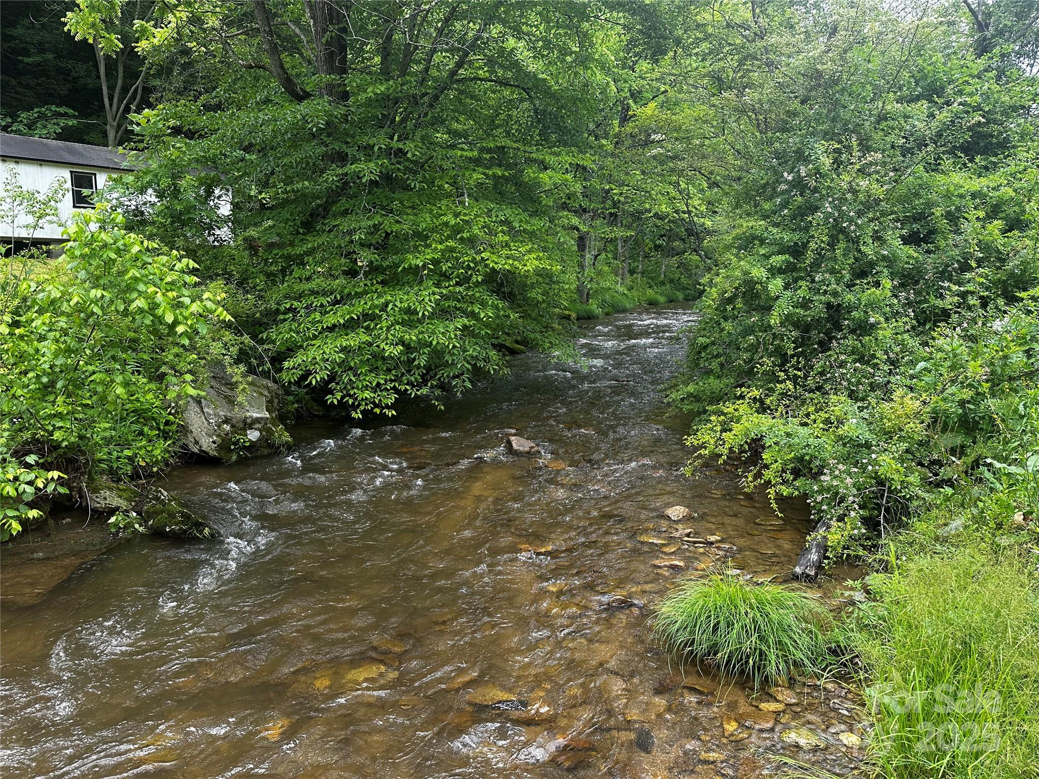 731 Pigeon Roost Road Green Mountain, NC 28740 - Photo 24 of 31 a view of a plants with yard