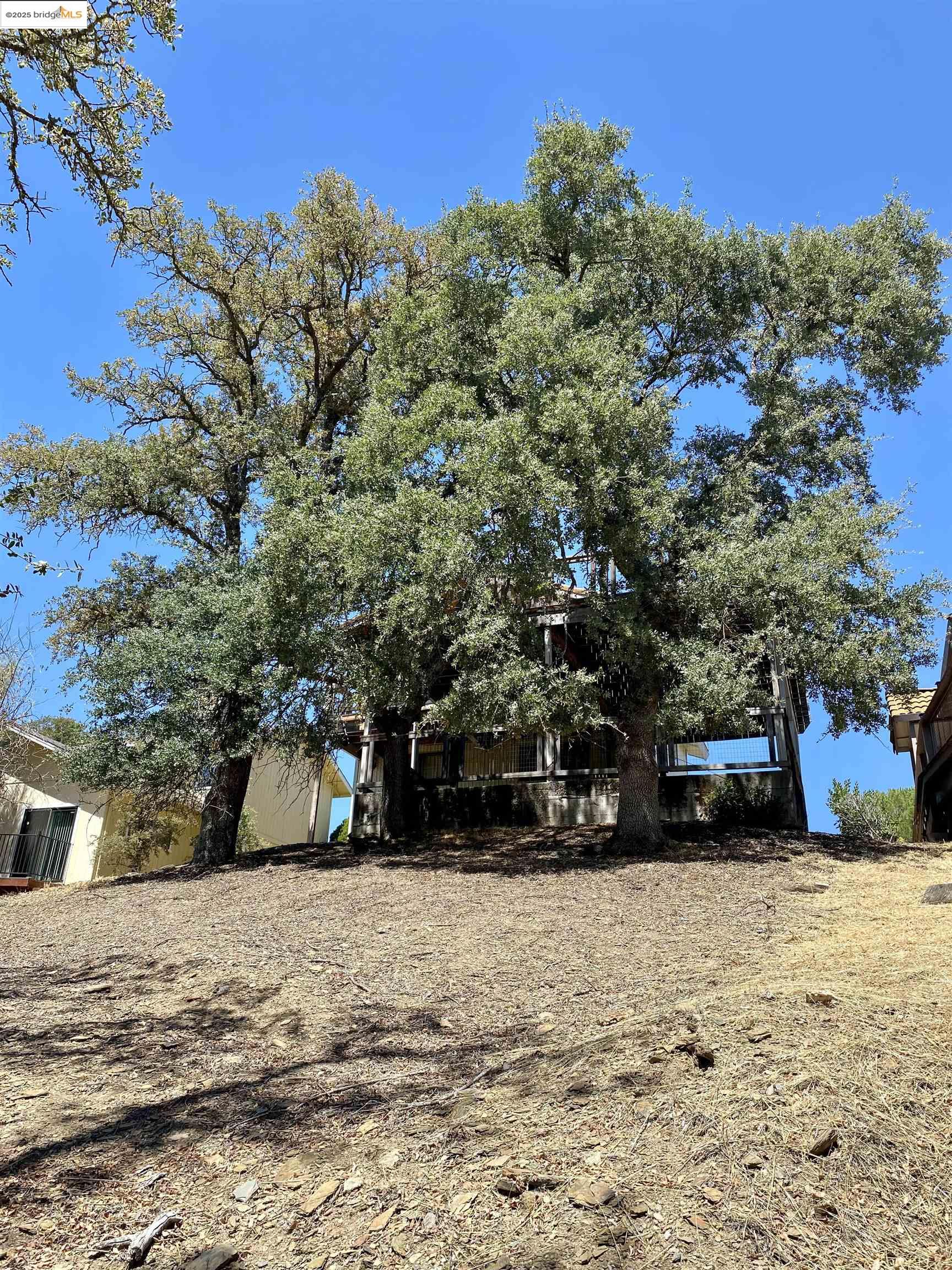 75 Poker Flat Road Copperopolis, CA 95228 - Photo 4 of 50 a view of outdoor space and yard