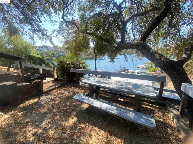 a view of a backyard with a large tree