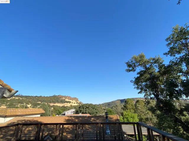 a view of a city with tall trees