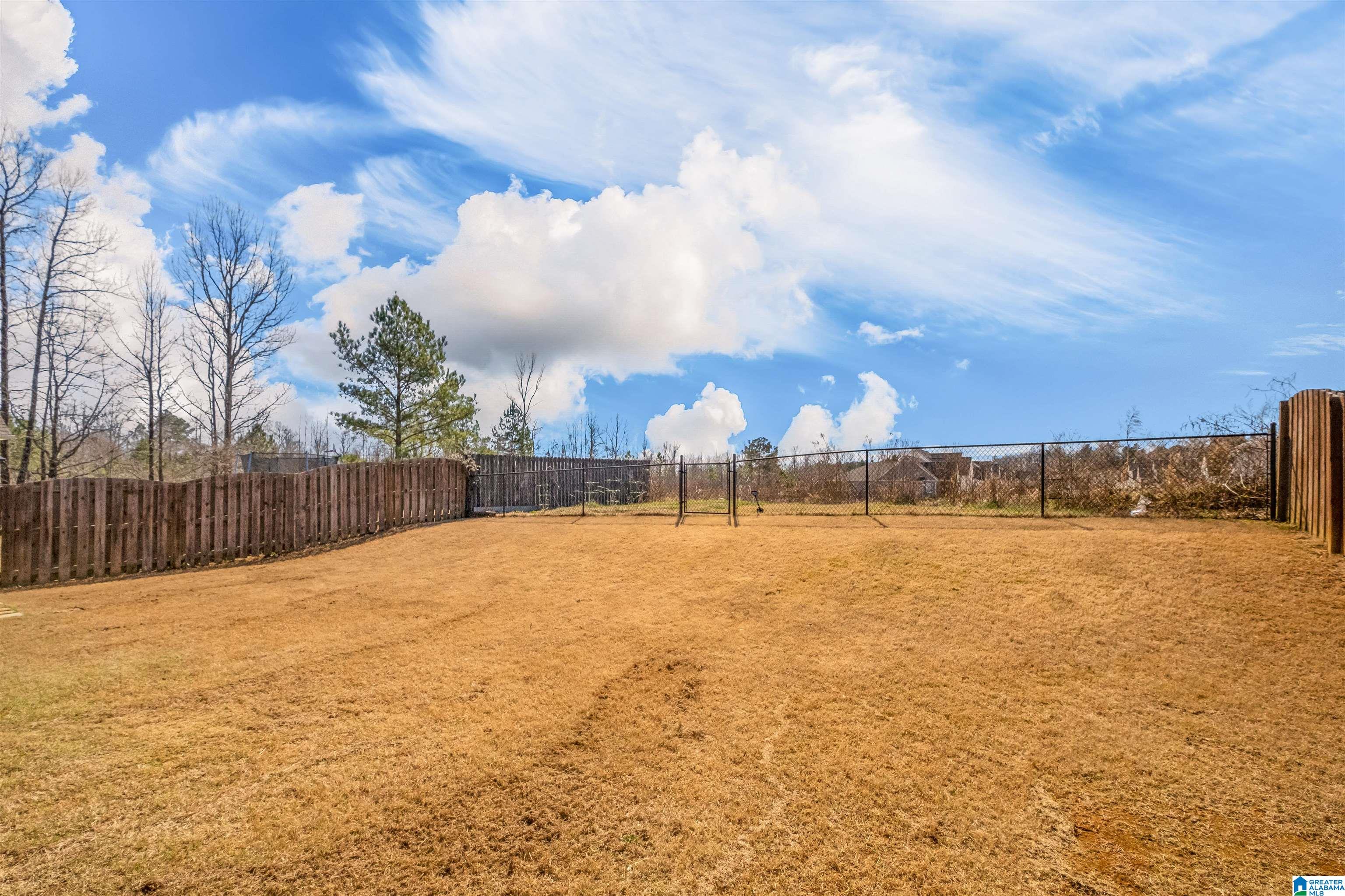 860 Braddock Road Springville, AL 35146 - Photo 20 of 22