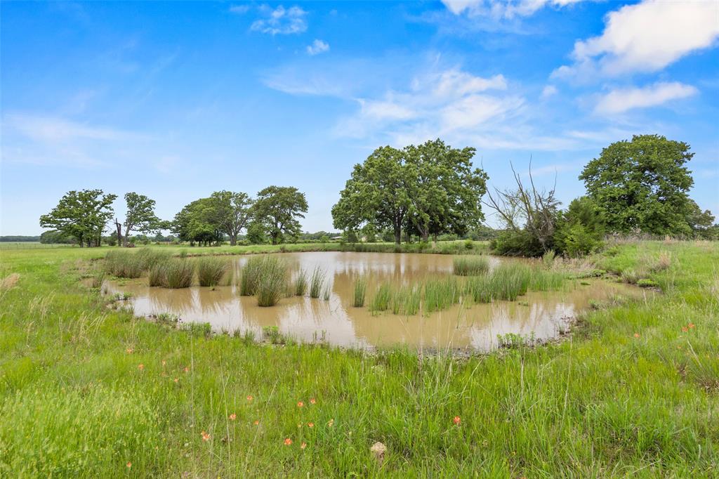 65 County Road 33715 Paris, TX 75460 - Photo 35 of 39
