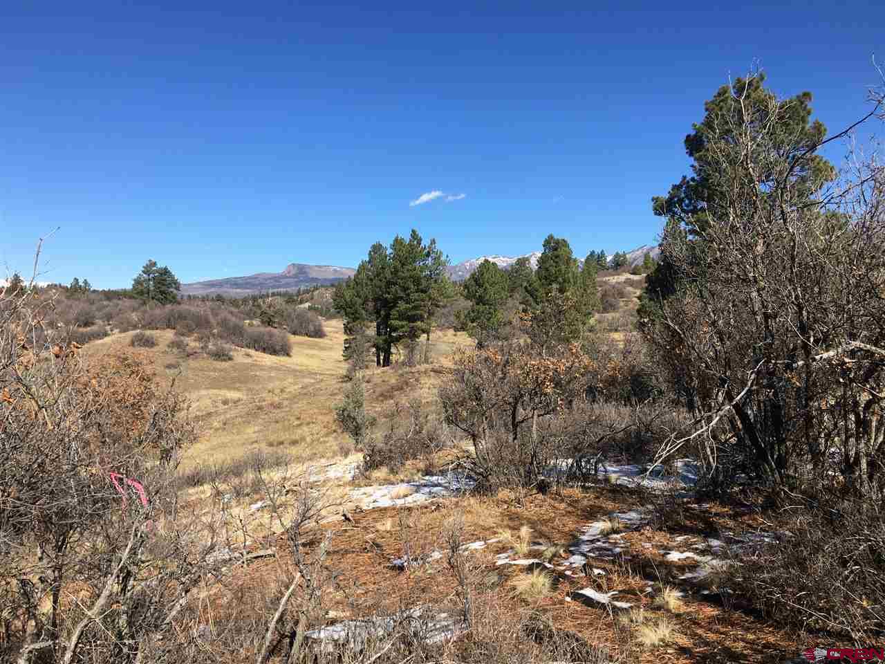 673 Spring Creek Circle Chromo, CO 81128 - Photo 1 of 10 a view of a yard with a tree in the background