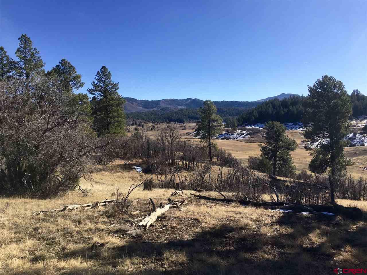 673 Spring Creek Circle Chromo, CO 81128 - Photo 2 of 10 a view of a yard with a tree