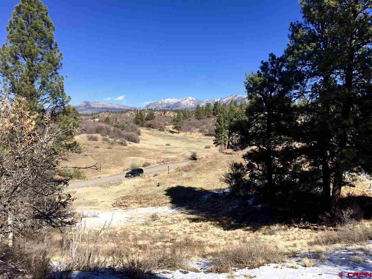 673 Spring Creek Circle Chromo, CO 81128 - Photo 4 of 10 a view of a yard with snow on the road