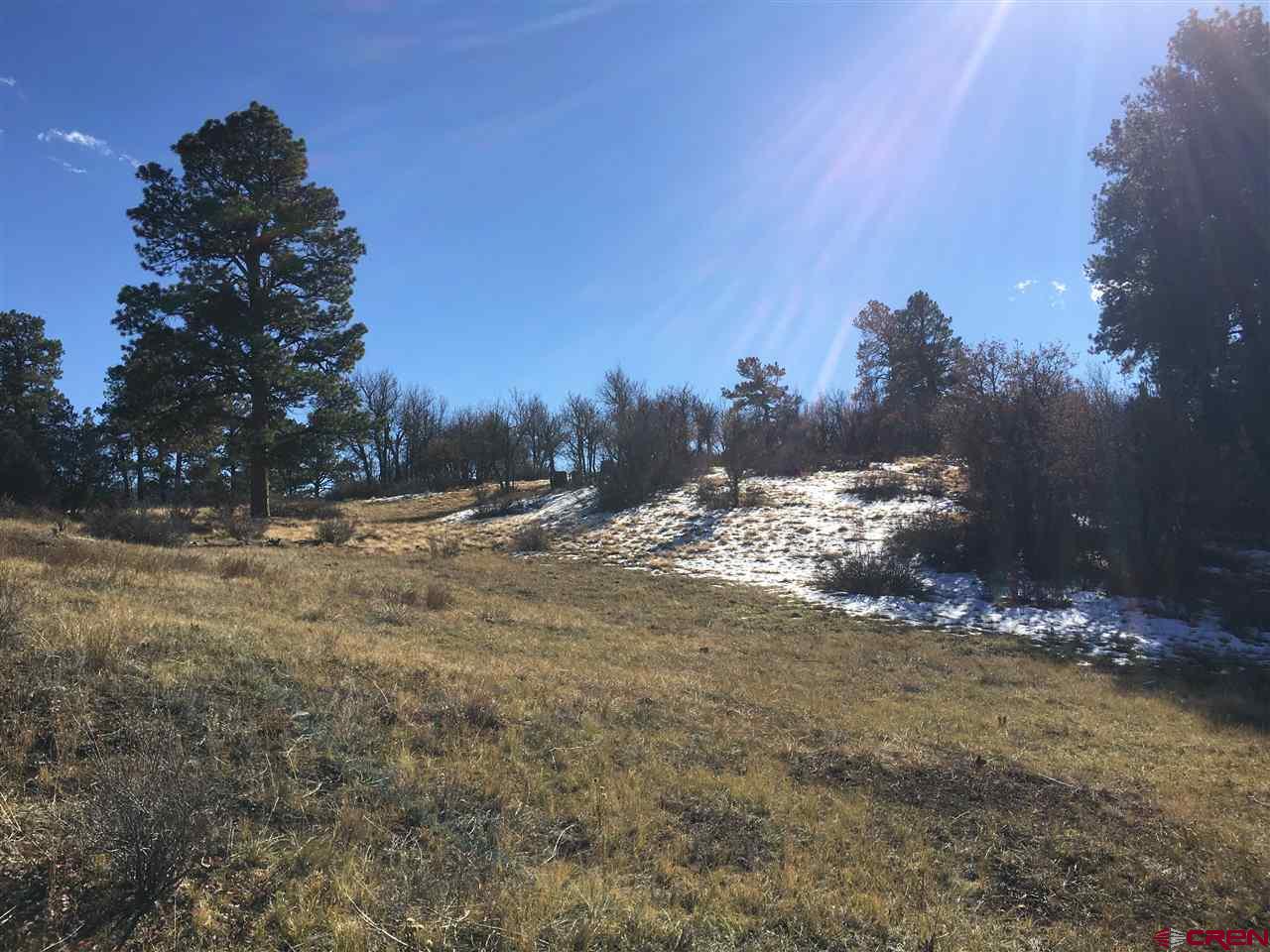 673 Spring Creek Circle Chromo, CO 81128 - Photo 5 of 10 a view of a yard with a tree