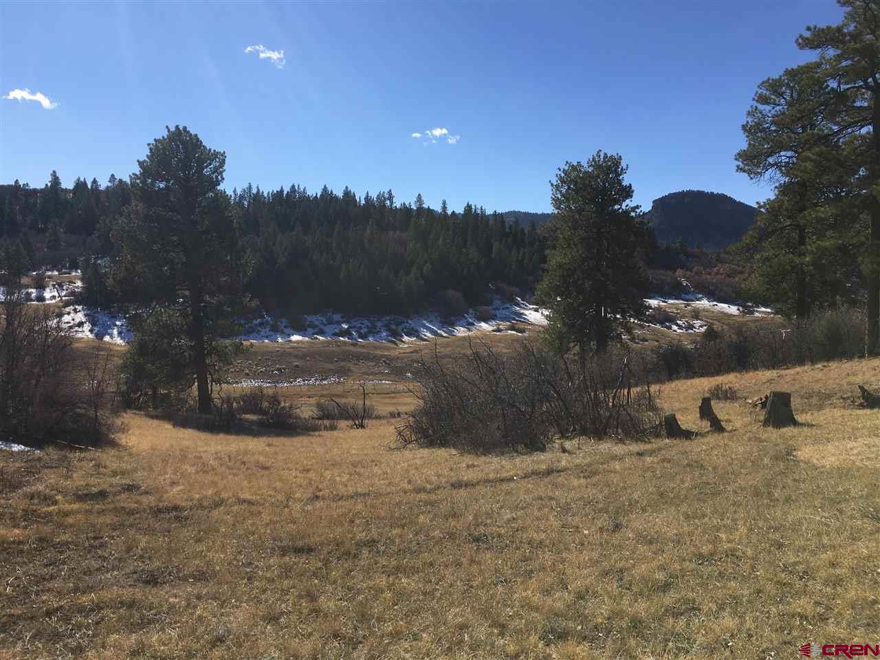 673 Spring Creek Circle Chromo, CO 81128 - Photo 6 of 10 a view of swimming pool next to a yard